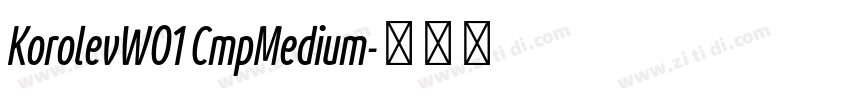 KorolevW01 CmpMedium字体转换